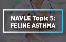 NAVLE Topic 5: Feline Asthma