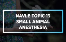 NAVLE Topic 13 Small Animal Anesthesia