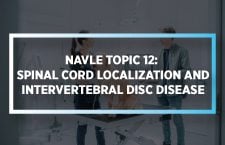 NAVLE Topic 12 Spinal Cord Localization and Intervertebral Disc Disease