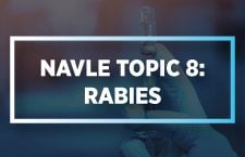NAVLE Topic 8 Rabies
