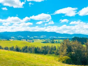 Australian Countryside