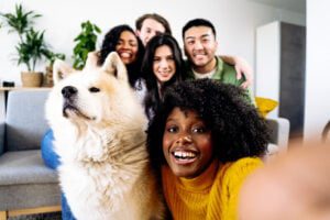 Culturally divers Australia Veterinarians