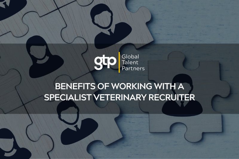 Benefits of Working with a Specialist Veterinary Recruiter