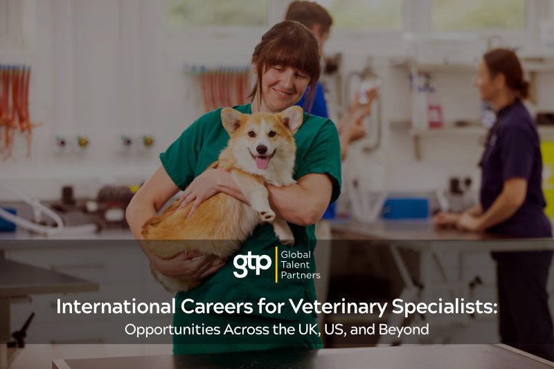 International Careers for Veterinary Specialists: Opportunities Across the UK, US, and Beyond