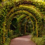 Singapore Veterinary Jobs