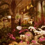 Singapore Veterinary Jobs