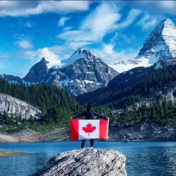 Discover why Canada is becoming a top choice for specialist veterinarians looking to relocate.