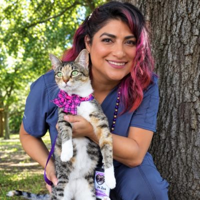 Family Animal Hospital of Friendswood