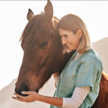 What Every Specialist Vet Should Know Before Relocating for a New Opportunity