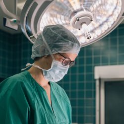 Why Veterinary Specialists Are More in Demand Than Ever